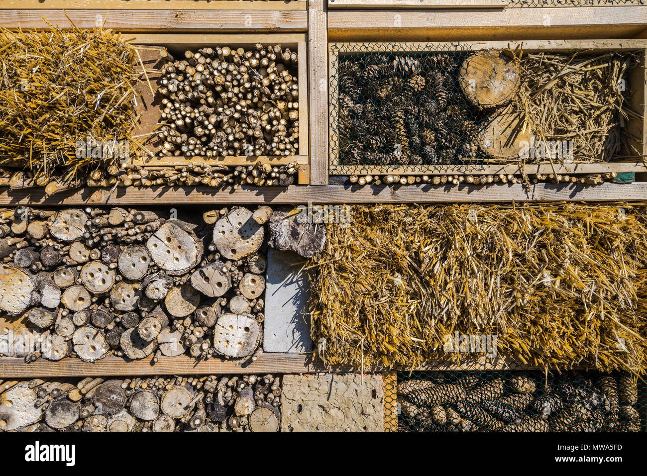 Insekt Hotel, auch für Bienen, Bau von verschiedenen natürlichen Materialien, Naturschutz, Umwelt- und Tierschutz Stockfoto