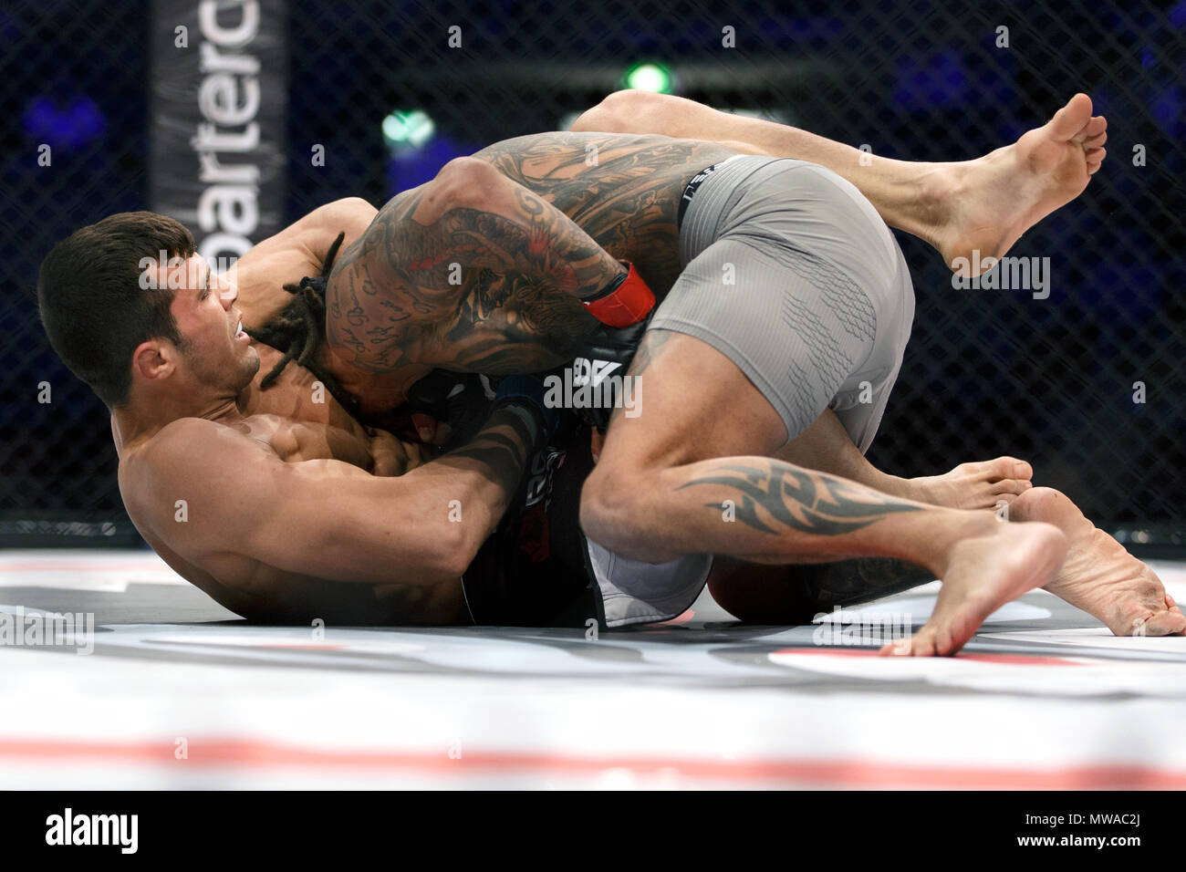 Aurel Pirtea sieht ein halten zu Saul Rogers choke am ACB 54 in Manchester, UK. Absolute Meisterschaft Berkut, Mixed Martial Arts, MMA kämpfen. Stockfoto