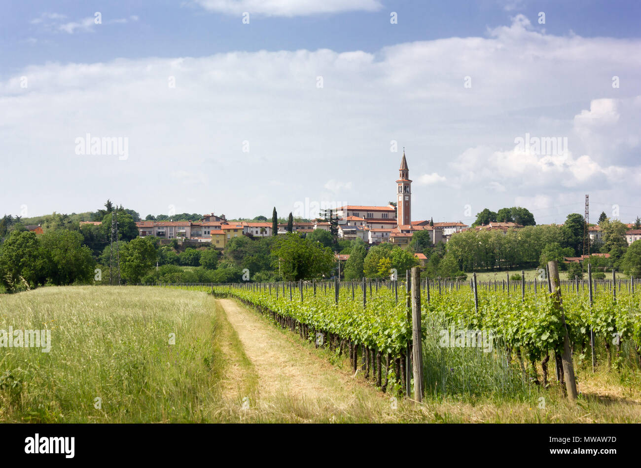 Dorf Lucinico, in der Nähe von Gorizia, Italien, im Frühling, mit Weinbergen im Vordergrund. Stockfoto