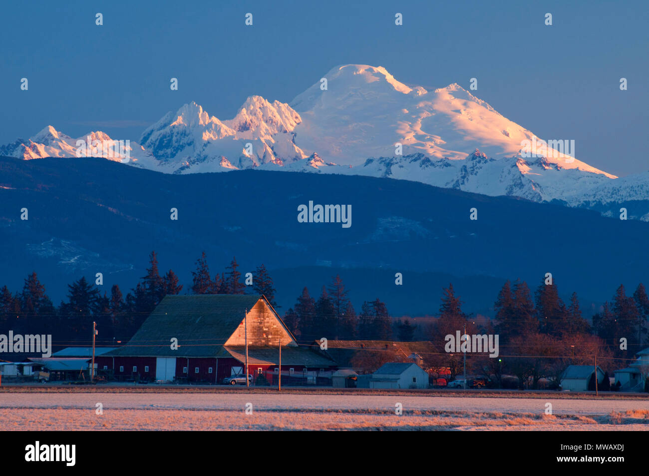 Scheune mit Mt Baker, Skagit Wildlife, Washington Stockfoto