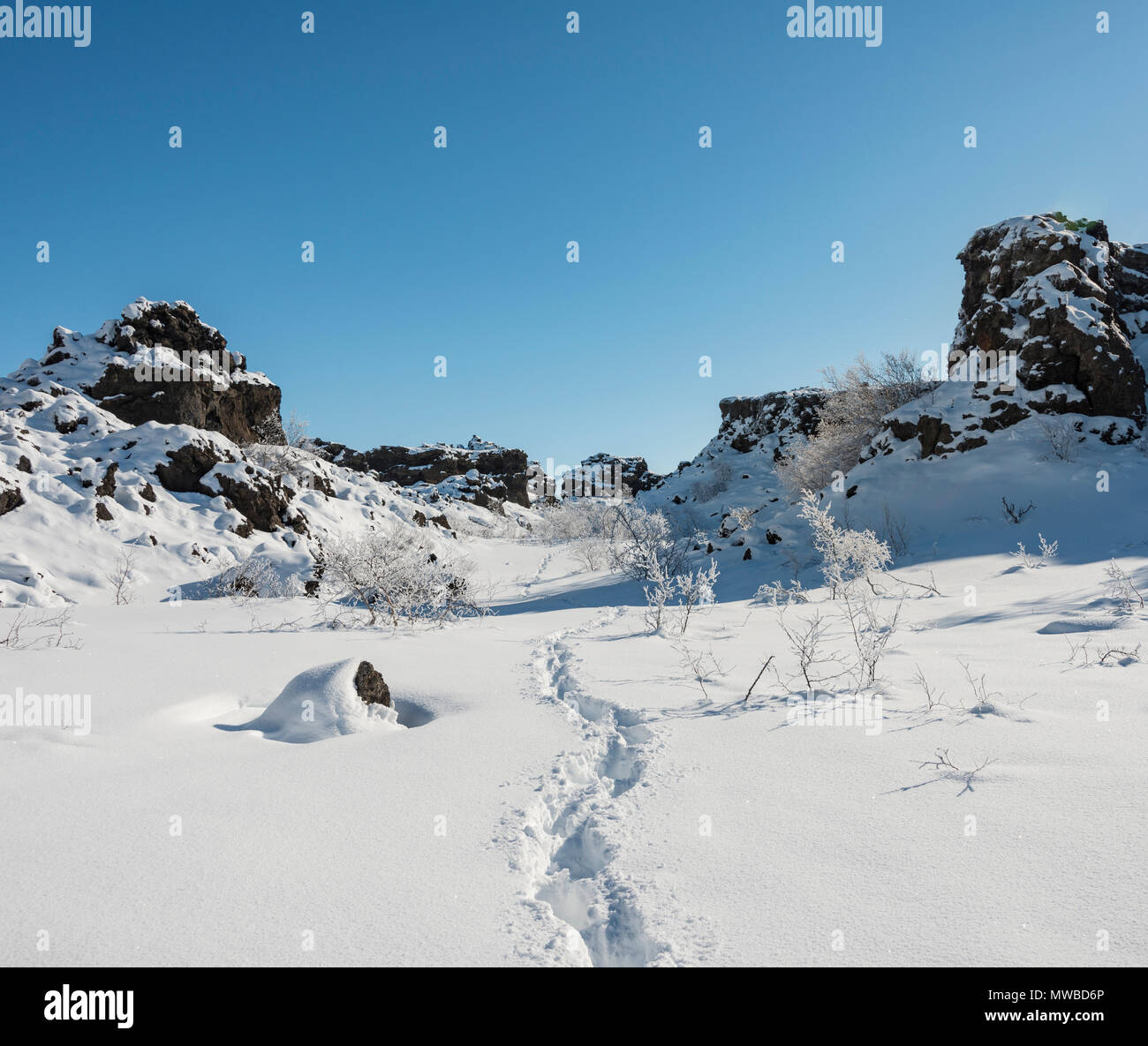 Fußabdrücke in verschneiter Landschaft, lava Feld bedeckt mit Schnee im Sonnenschein, vulkanische Landschaft Krafla, Dimmuborgir Nationalpark Stockfoto