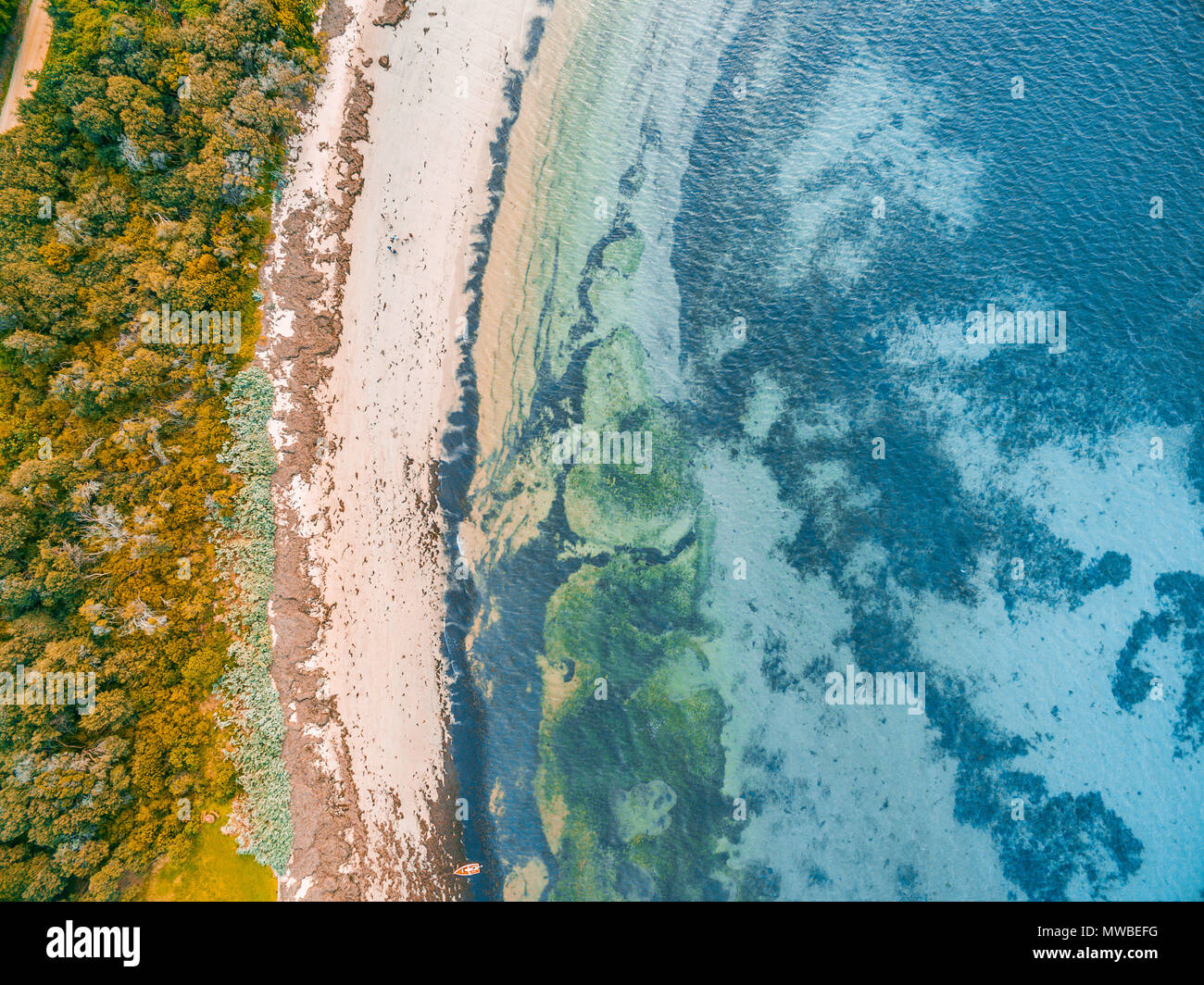 Auf der Suche bei seichten Meer Wasser und felsigen Strand Stockfoto