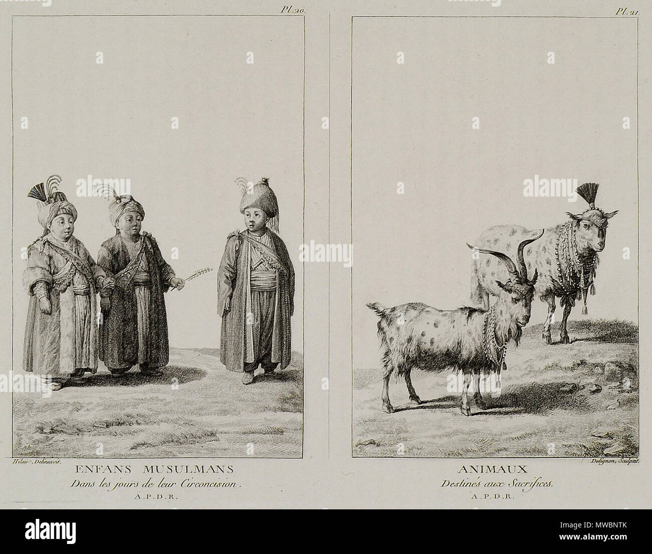 190 Enfans Musulmans dans les Jours de Leur circoncision Animaux destinés aux Opfer - Mouradgea D'ohsson - 1787 Stockfoto