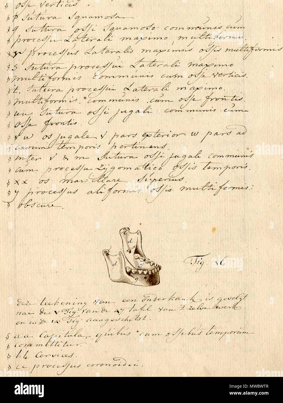 . Englisch: Anonym. [Tise auf die Physiognomie. (Niederlande?, Ca. 1790)]. Physiognomie ist die Wissenschaft von der Charakter einer Person, Persönlichkeit und Temperament die Form seines Gesichts-, Kopf-, und/oder Körper. Die Theorien dahinter zurück zu Hippokrates, der glaubte, dass die physikalischen Eigenschaften des menschlichen Körpers Persönlichkeit offenbart; Aristoteles Studien, wie Haare, Gliedmaßen und Gesichtszüge Persönlichkeit und Temperament vorhergesagt. Solche Theorien vorwärtsgekommen während des Mittelalters und der Renaissance, und die festgestellten Girolamo Cardano (1501-1576) war einer der wichtigsten propon Stockfoto