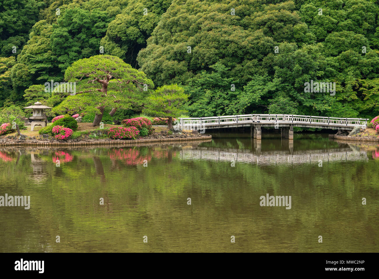 Shinjuku Gyoen Gärten in Shinjuku, Tokyo, waren ursprünglich eine königliche Residenz aber sind nun für die Öffentlichkeit zugänglich. Stockfoto