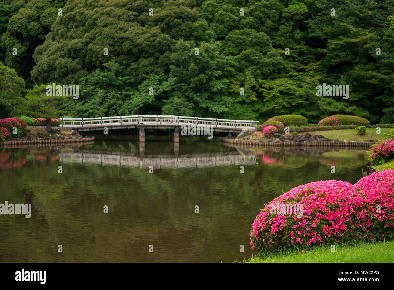 Shinjuku Gyoen Gärten in Shinjuku, Tokyo, waren ursprünglich eine königliche Residenz aber sind nun für die Öffentlichkeit zugänglich. Stockfoto