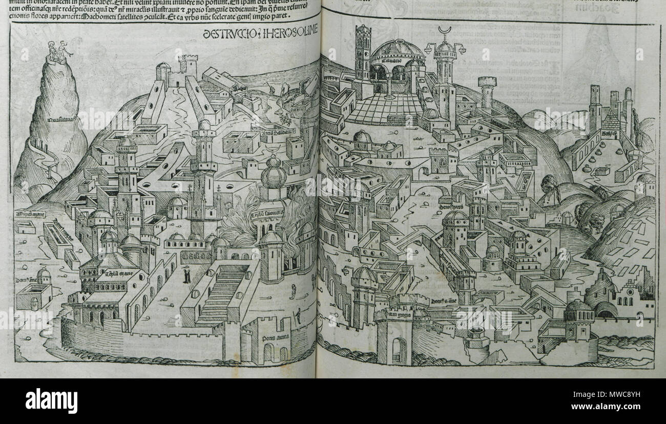 . Englisch: Hartmann Schedell. Liber Cronicarum, Nürnberg, Anton Koberg/Schreyer & Sebastian Kammermeister, 1493. 1493. Hartmann Schedel 160 Destruccio Schedell Hierosolime - Hartmann - 1493 Stockfoto