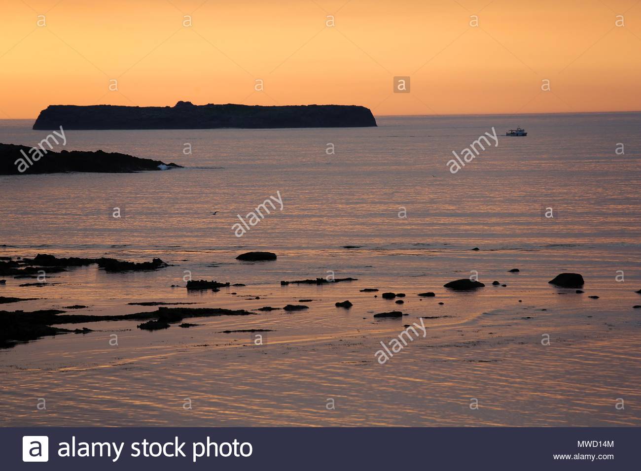 Sonnenuntergang fällt über die sieben Schweine von Inseln vor der Küste von Castlegregory in Irland als ein Schiff auf See Stockfoto