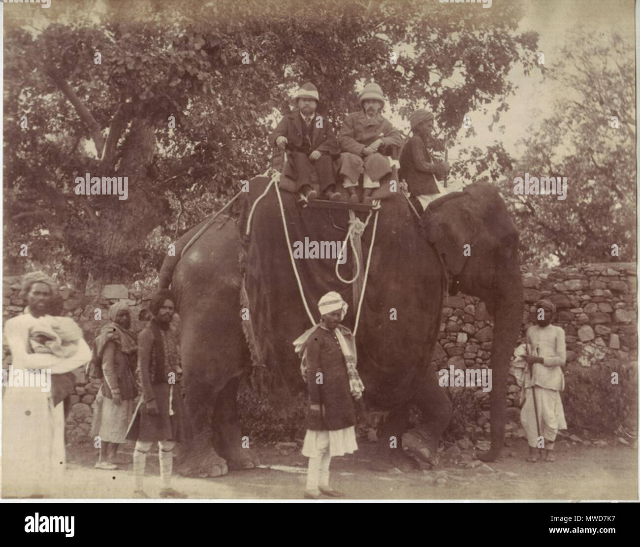 175 frühen Touristen auf einem Elefanten reiten, ein eiweißstoff Foto, c 1880 Stockfoto