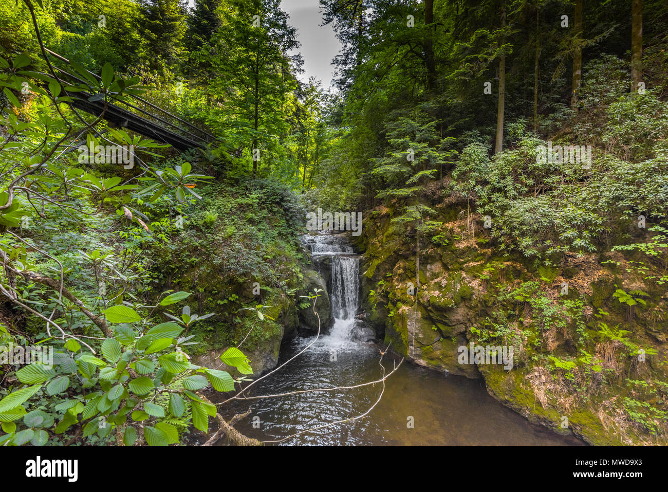 Kleiner Wasserfall Geroldsau mit Besucher Brücke, im Tal von Baden-Baden, Deutschland, wilde Landschaft im Schwarzwald Stockfoto
