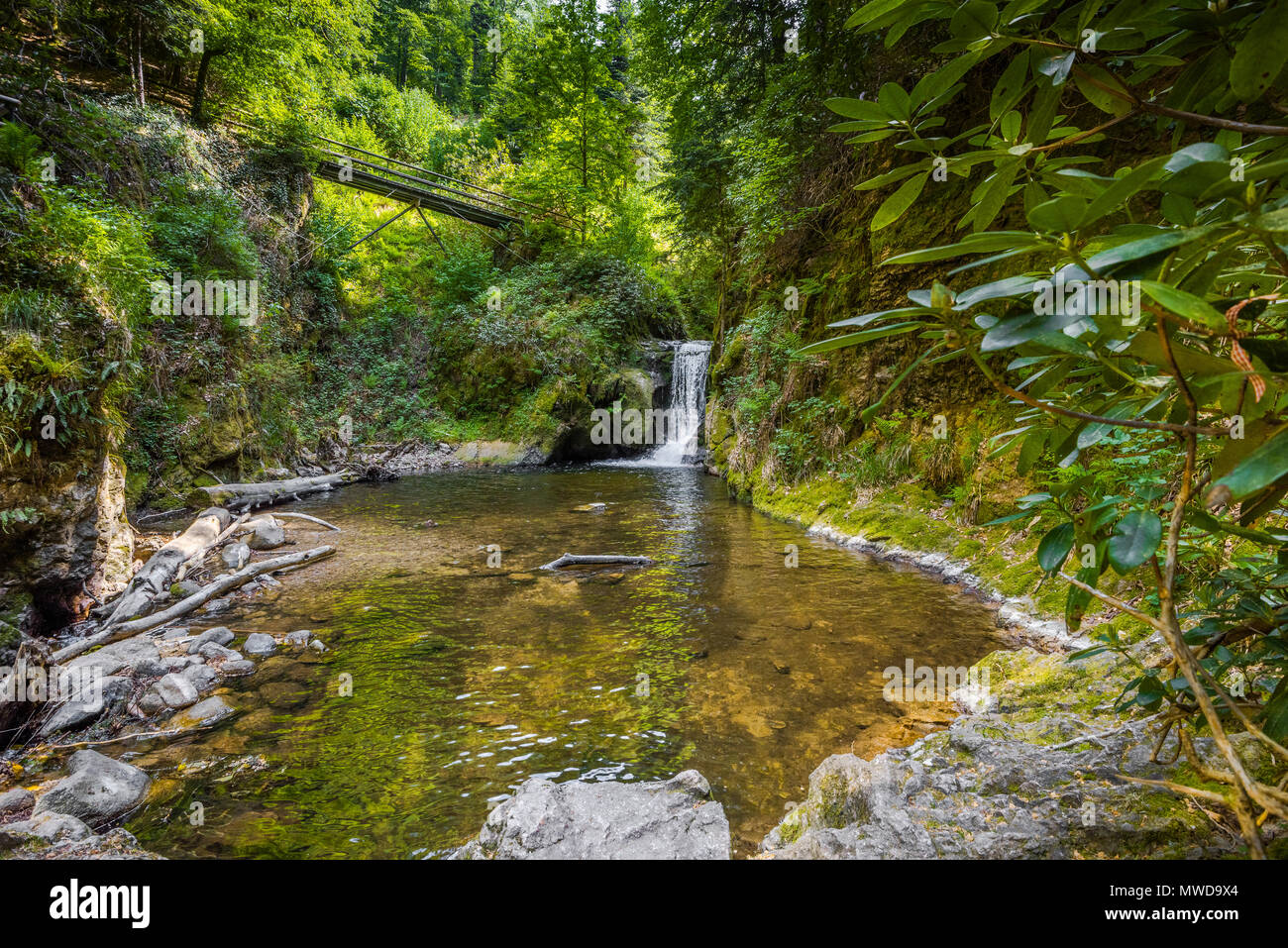 Kleiner Wasserfall Geroldsau zwischen Felsen mit Waschbecken, im Tal von Baden-Baden, Deutschland, romantische Landschaft im Schwarzwald Stockfoto