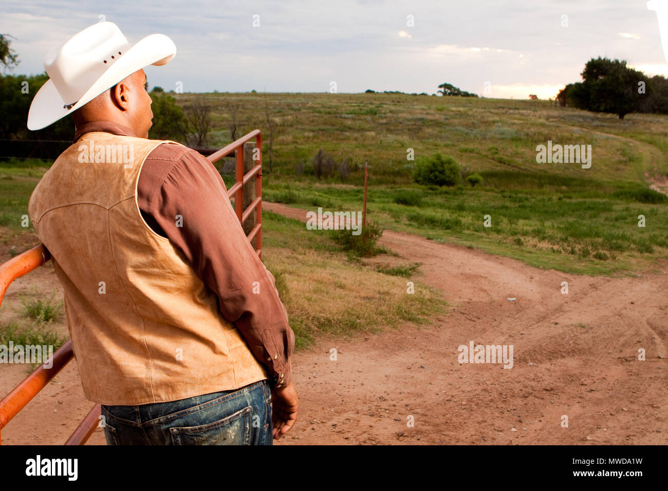 Sicht nach hinten von einer afrikanischen amerikanischen Cowboys. Stockfoto