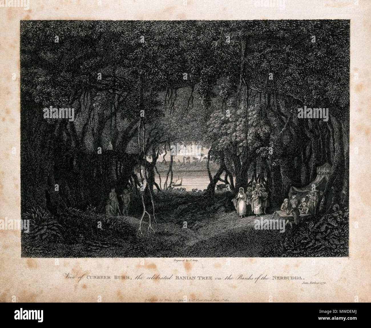 297 In einem Banyan Tree - John Greig, nachdem James Forbes, 1778 Stockfoto