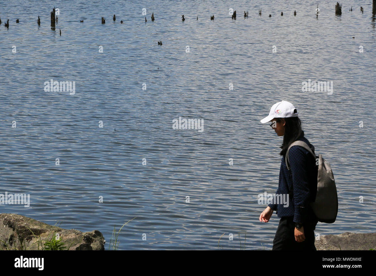 Odaiba. Tokio. 1. Juni 2018 - Touristen in Odaiba, einer Insel in Tokio auf einem warmen und sonnigen Nachmittag mit einer Temperatur von über 27 Grad Celsius. Kredit Roamwithrakhee/Alamy leben Nachrichten Stockfoto