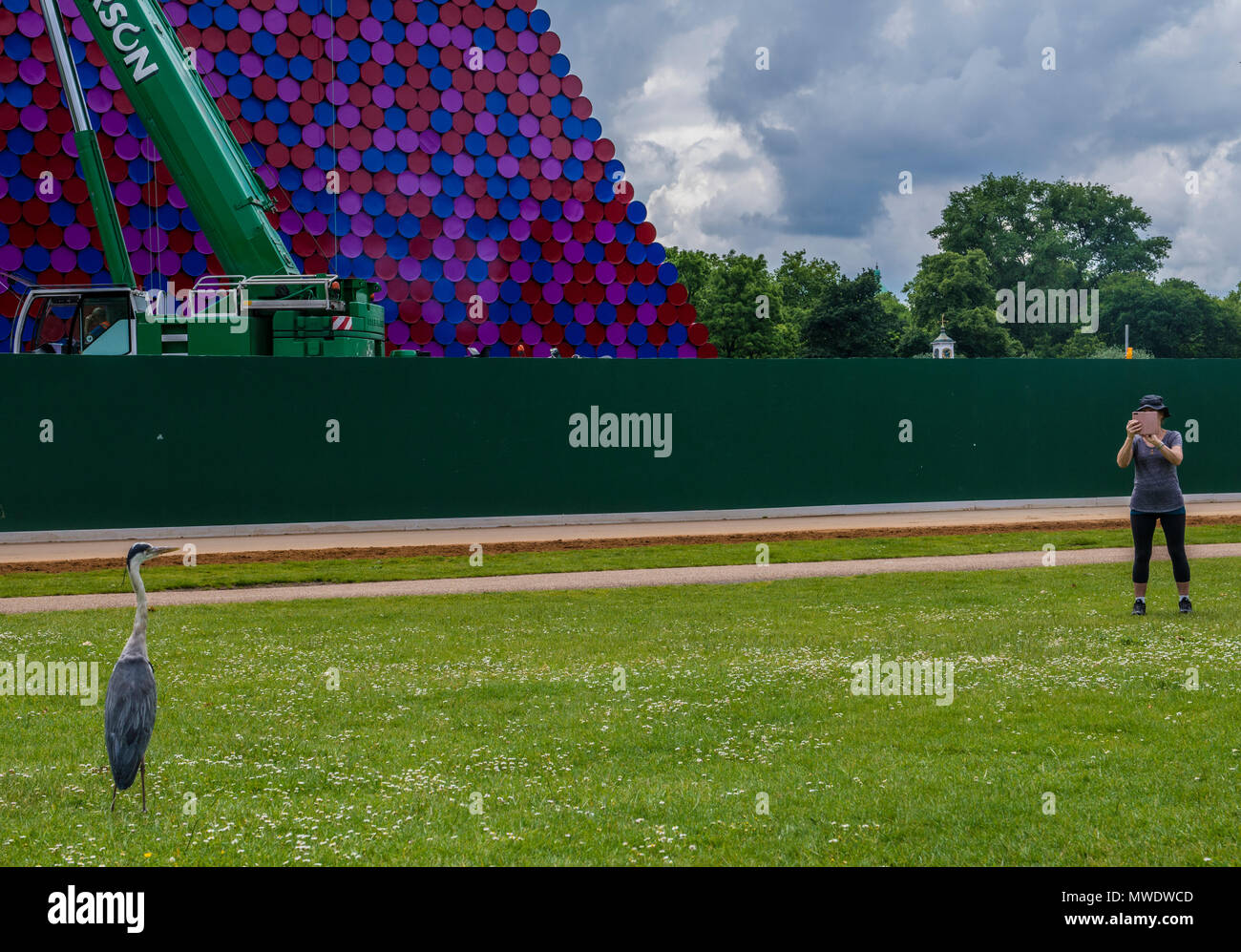 London, Großbritannien. 1 Jun, 2018. UK Wetter: bewölkt Tag am See Serpentine Lake, Hyde Park. Ein Reiher posiert für die Kamera im Hyde Park, während im Hintergrund die Mastaba Projekt, eine riesige Skulptur von 7,506 farbige schwimmende Fässer gebaut wird. Credit: Ernesto Rogata/Alamy Leben Nachrichten. Stockfoto