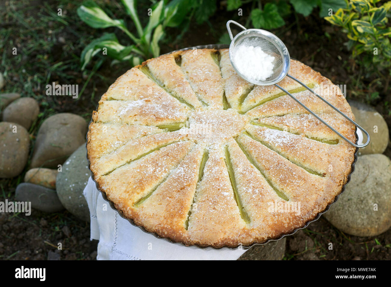 Eine große hausgemachte Kuchen mit Rhabarber Streifen in Zinn. Im rustikalen Stil. Stockfoto