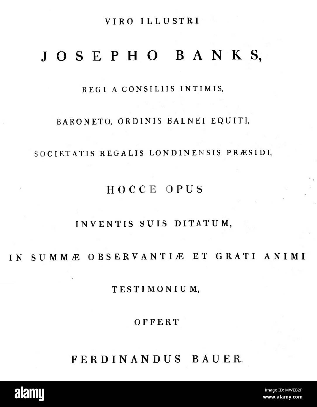 . Das ist ein Bild für die zweite Seite von Ferdinand Bauer des 19. Jahrhunderts buch Illustrationes Florae Novae Hollandiae, auf die Widmung des Buches erscheint. Die ursprüngliche Arbeit wurde in drei Ausgaben zwischen 1806 und 1830 freigegeben veröffentlicht.. Ferdinand Bauer 293 Illustrationes Florae Novae Hollandiae Seite 2 Stockfoto