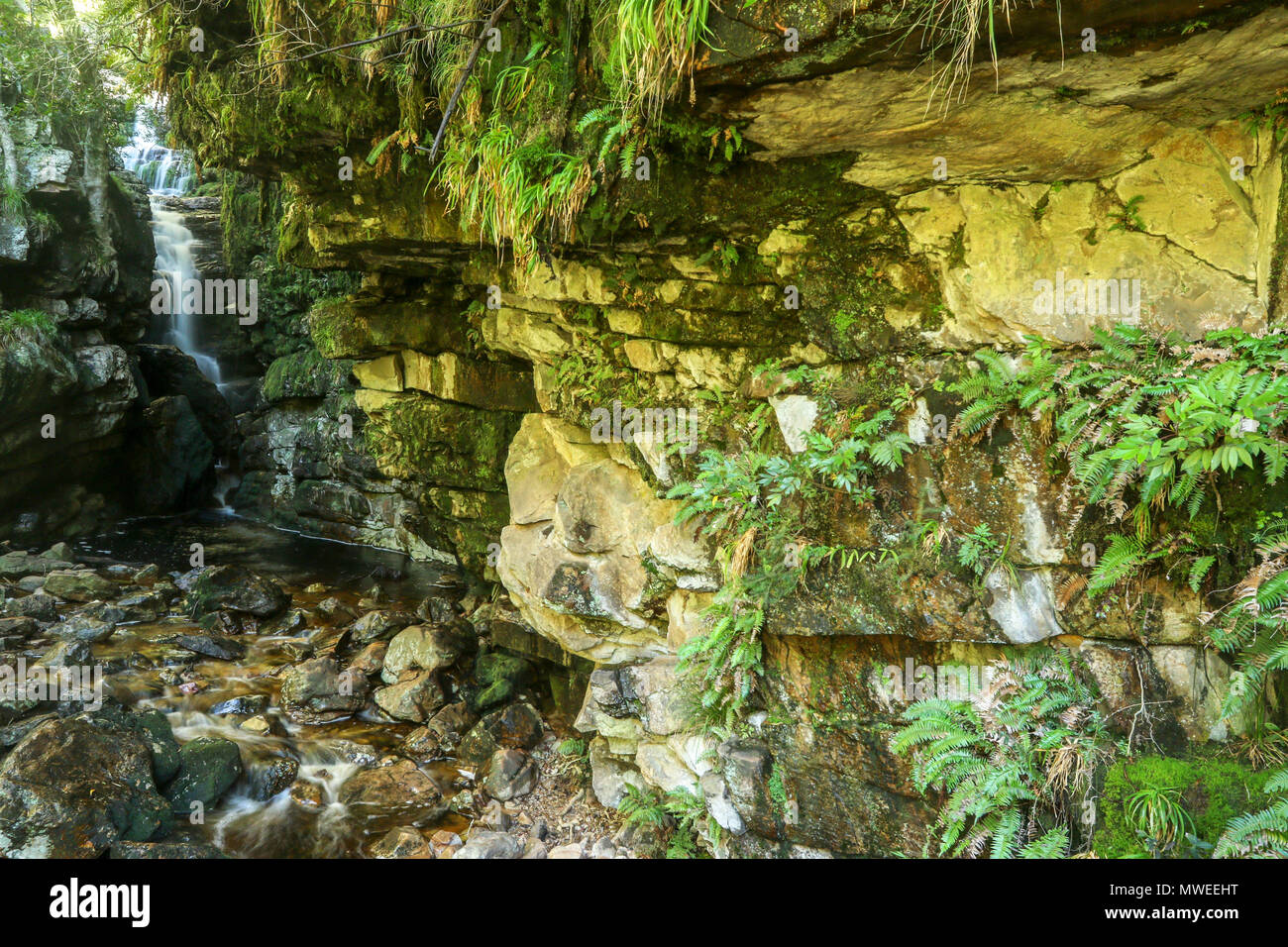 Felsformation und Cascade im unteren Wasserfall Höhle, Jonkershoek Naturreservat, Garden Route, Südafrika Stockfoto