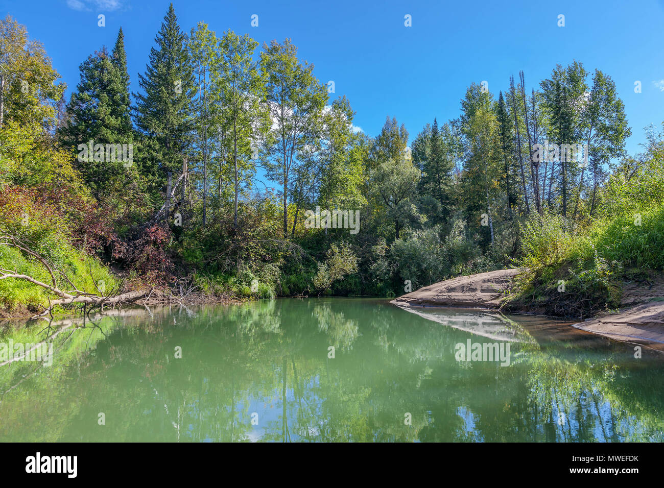 Sommer in Sibirien. Stockfoto