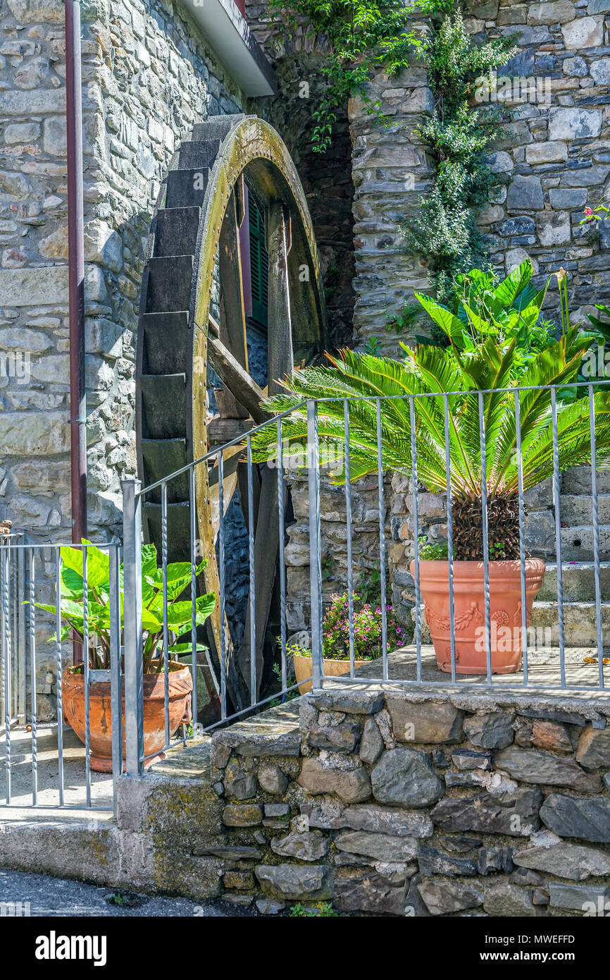 Waterwheel in Manarola Stockfoto