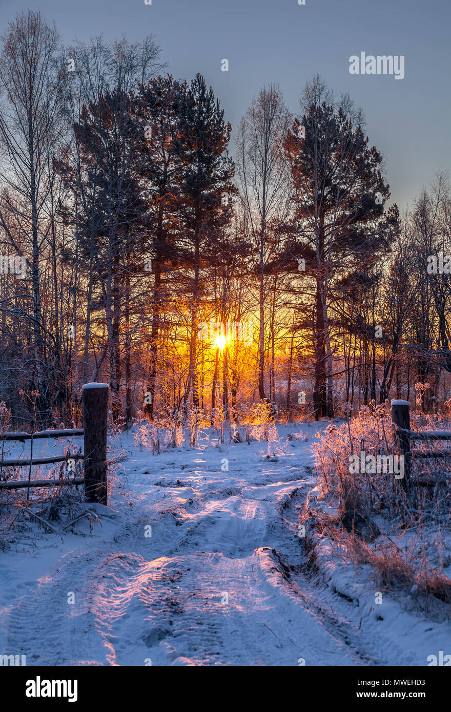 Winter Sonnenaufgang in Sibirien. Stockfoto