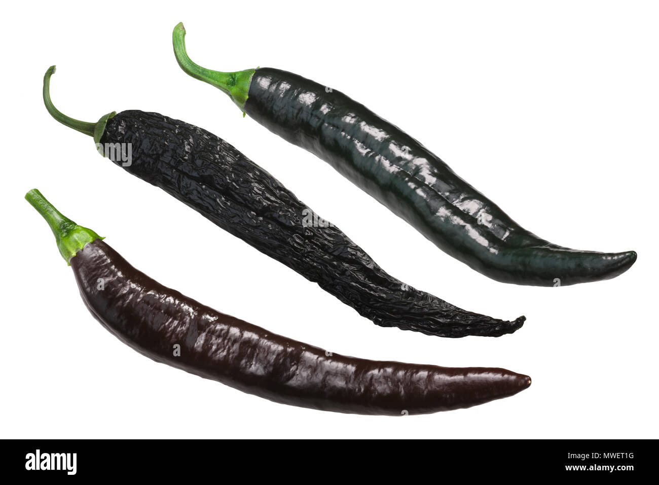 Pasilla Chilaca Bajio chili peppers, unreifen, Reifen Braun, getrocknet, Hülsen Stockfoto