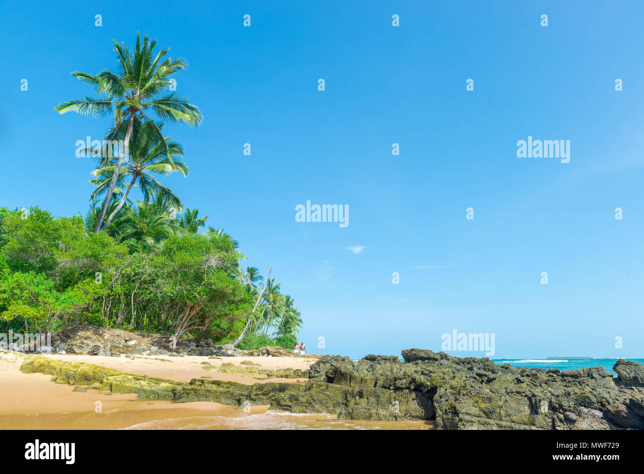 Itacaré, Brasilien - Dezember 8, 2016: Paradise Beach an einem schönen sonnigen Tag als Hintergrund Stockfoto