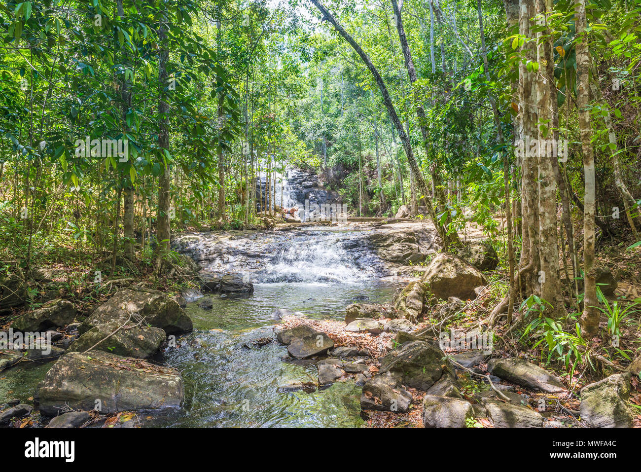 Itacaré, Brasilien - Dezember 9, 2016: Wasserfall und Bach im Wald in Itacaré Bahia Brasilien Stockfoto