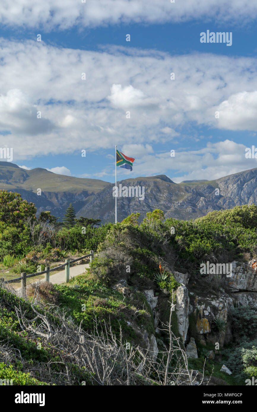 Die südafrikanische Flagge auf dem hermabnus Cliff Walk, Garden Route, Südafrika Stockfoto