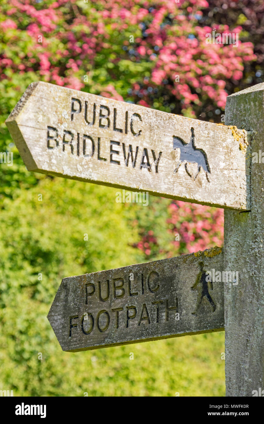Ein öffentlicher Weg und reitweg Vorfahrt Zeichen, England, Großbritannien Stockfoto