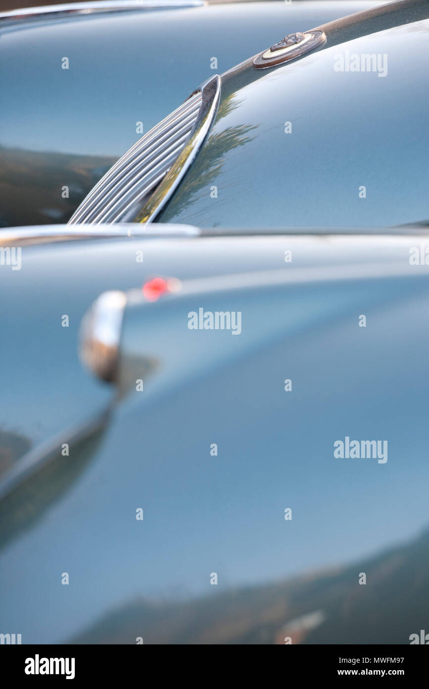 Jaguar XK 120 1954 fester Kopf mit braunem Leder Motorhaube Riemen Stockfoto