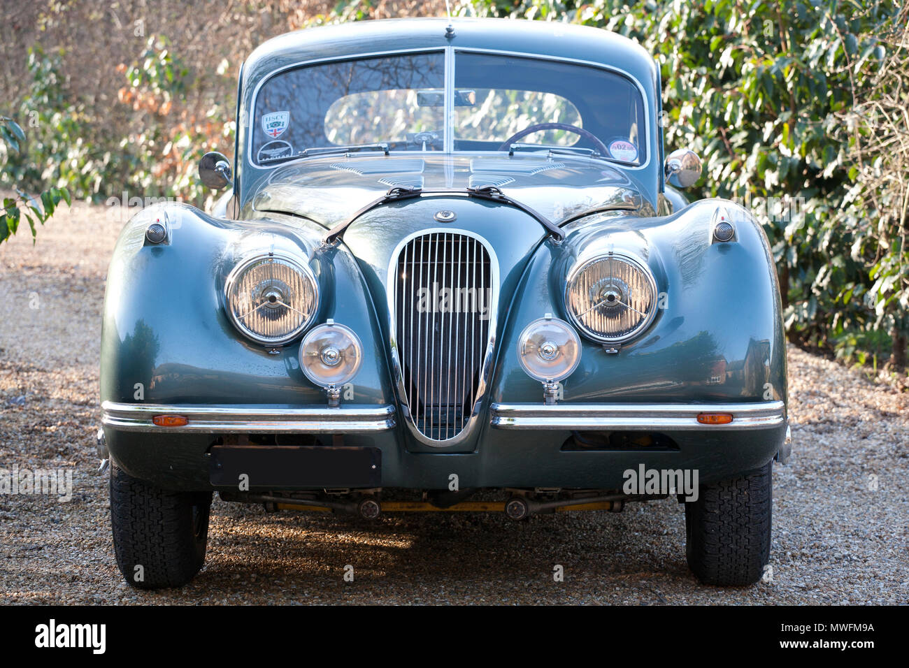 Jaguar XK 120 1954 fester Kopf mit braunem Leder Motorhaube Riemen Stockfoto