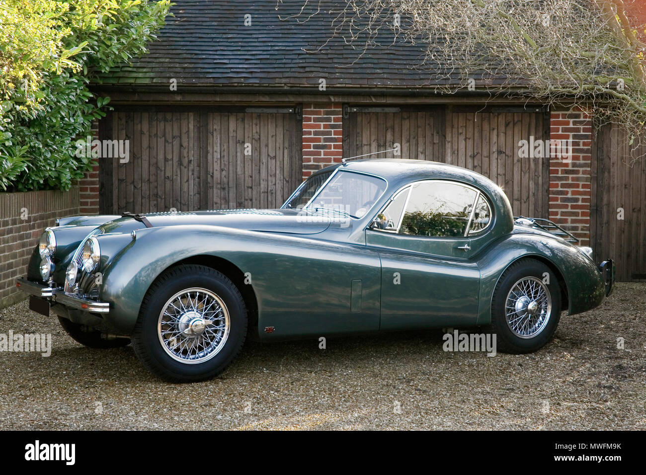 Jaguar XK 120 1954 fester Kopf mit braunem Leder Motorhaube Riemen Stockfoto