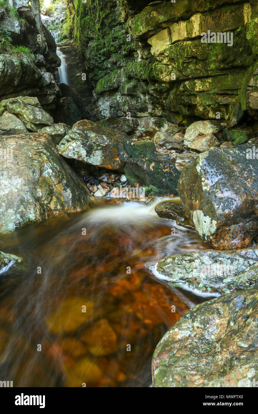 Felsformation und Cascade im unteren Wasserfall Höhle, Jonkershoek Naturreservat, Garden Route, Südafrika Stockfoto