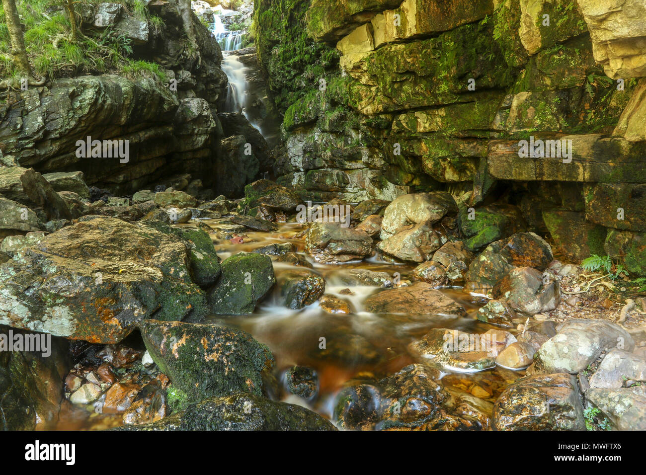 Felsformation und Cascade im unteren Wasserfall Höhle, Jonkershoek Naturreservat, Garden Route, Südafrika Stockfoto