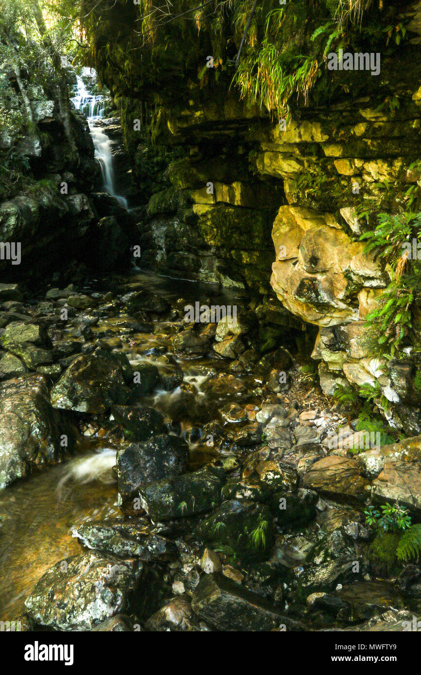 Felsformation und Cascade im unteren Wasserfall Höhle, Jonkershoek Naturreservat, Garden Route, Südafrika Stockfoto