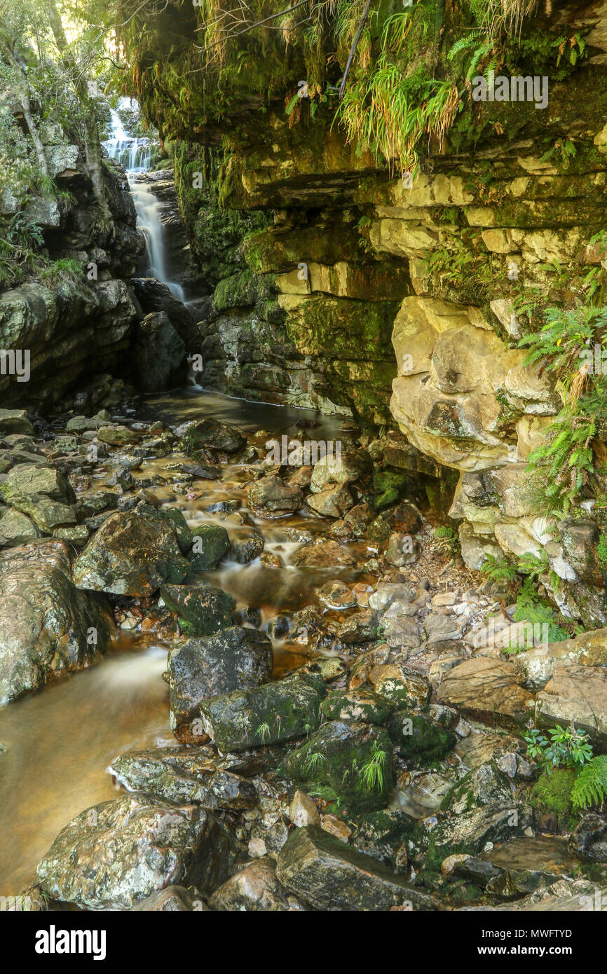 Felsformation und Cascade im unteren Wasserfall Höhle, Jonkershoek Naturreservat, Garden Route, Südafrika Stockfoto