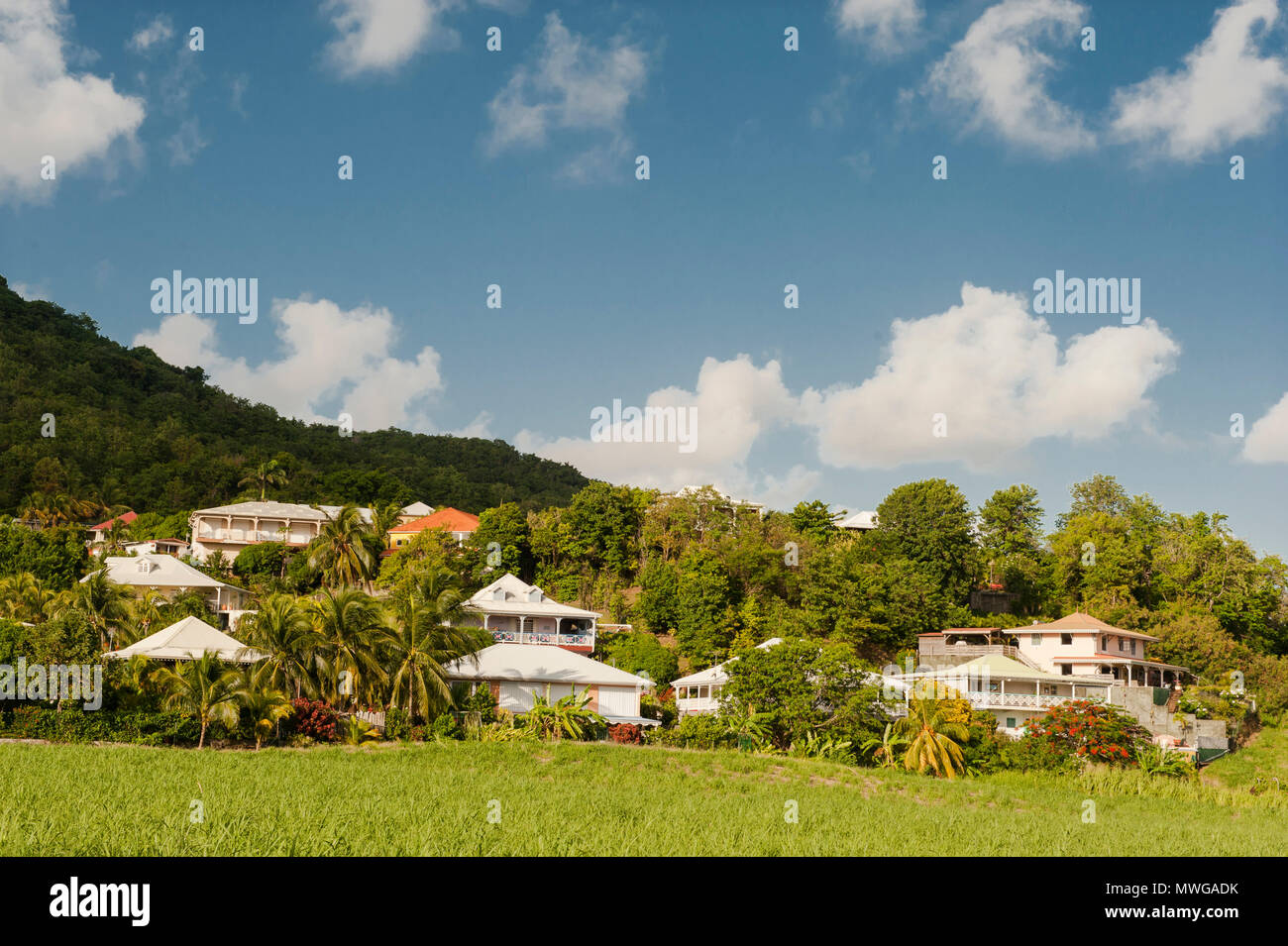 Die Küstenstadt Tartane in La Trinité, Martinique Stockfoto