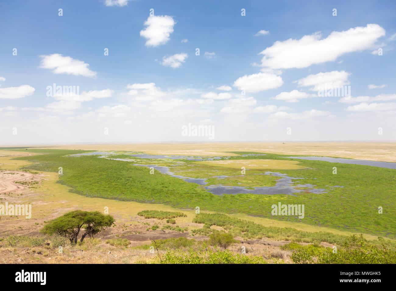 Panoramiv Ansicht des Amboseli National Park, Wildlife Conservation Area in Kenia. Stockfoto