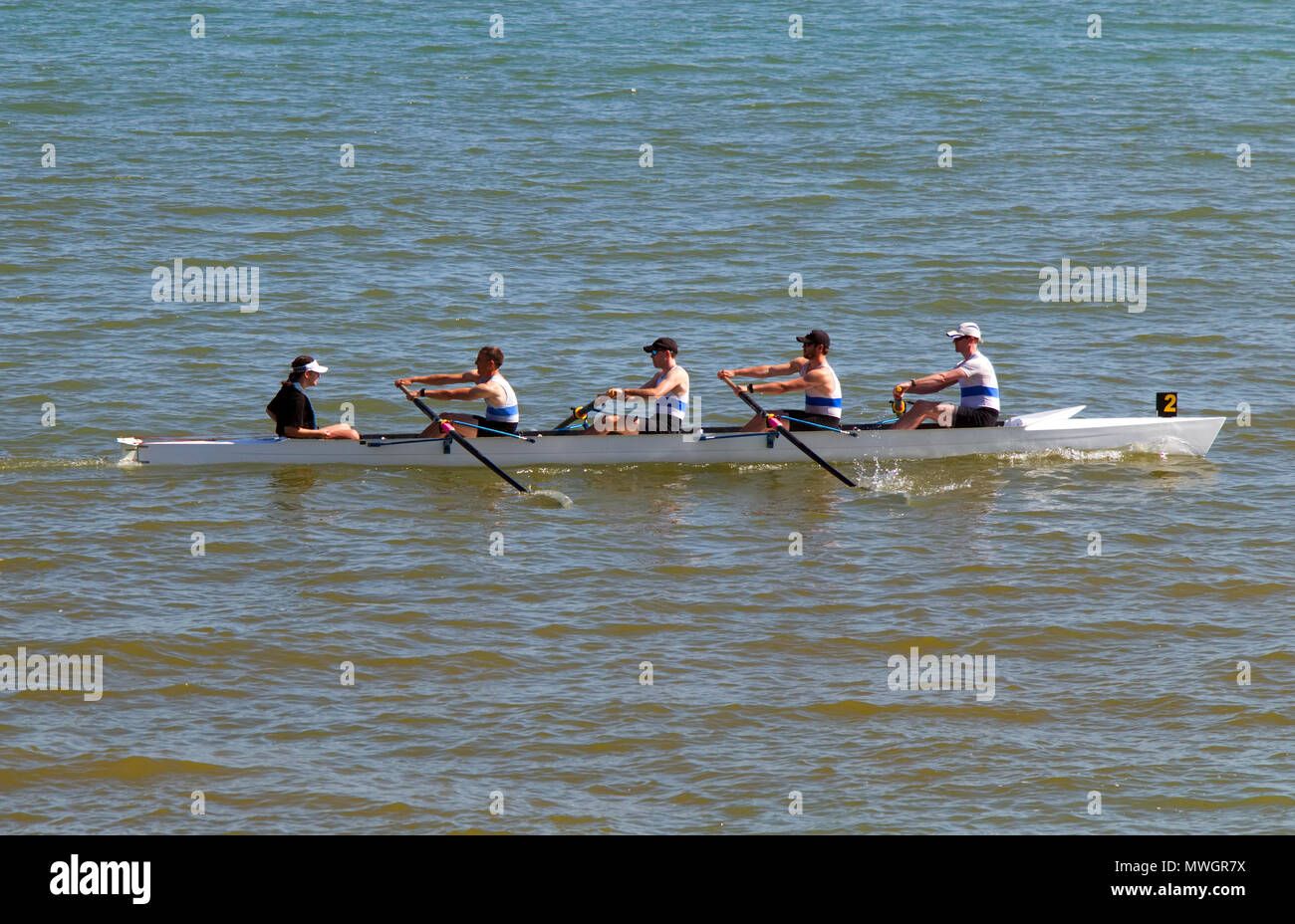 Coxed doppel Schädel an der Hastings 150jährlichen Ruderregatta Stockfoto