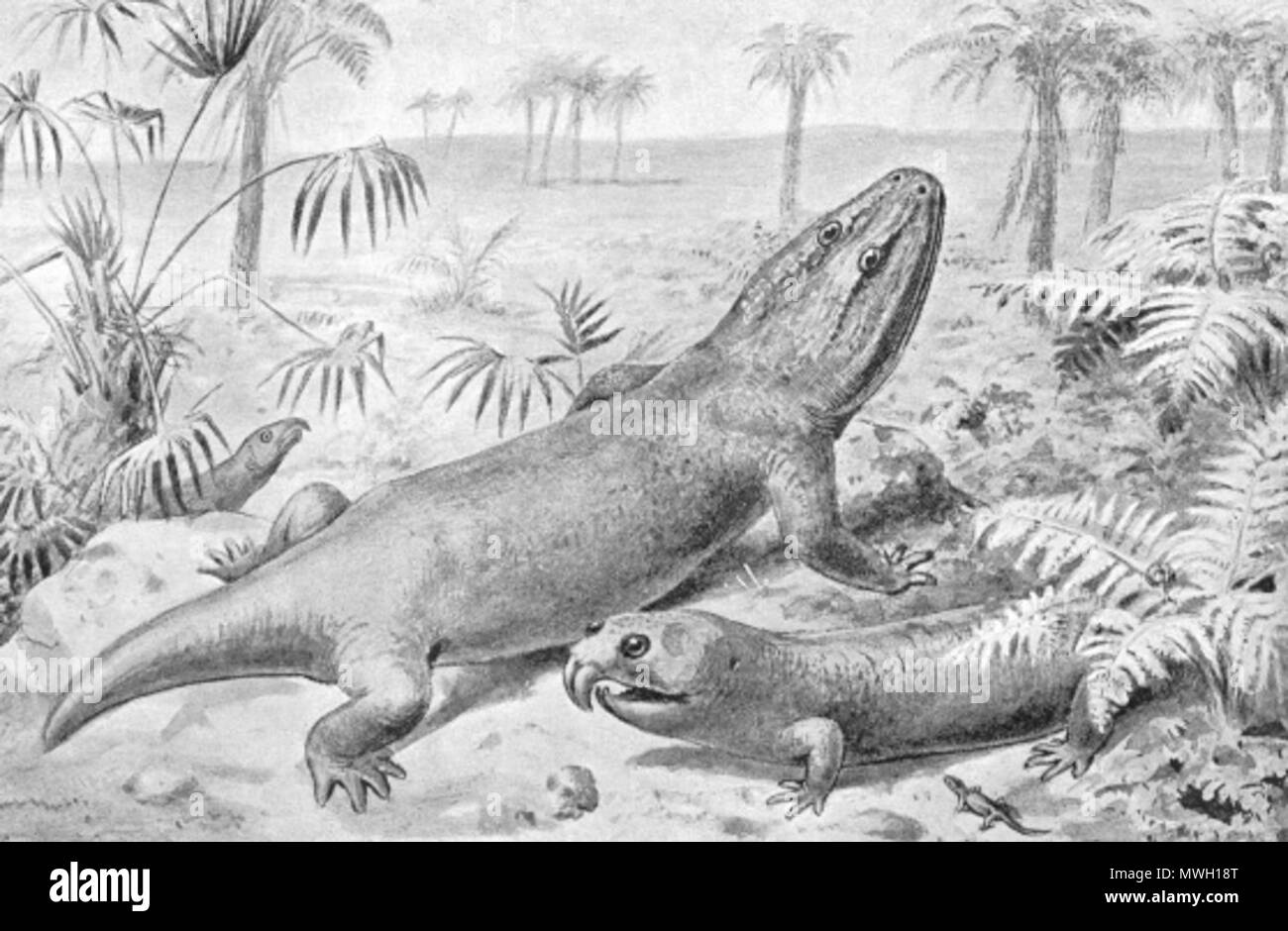 . Mastodonsaurus und Rhynchosauria. 1894. Joseph Smit (1836-1929), von Kreaturen von anderen Tagen, 1894 England 405 Mastodonsaurus Stockfoto