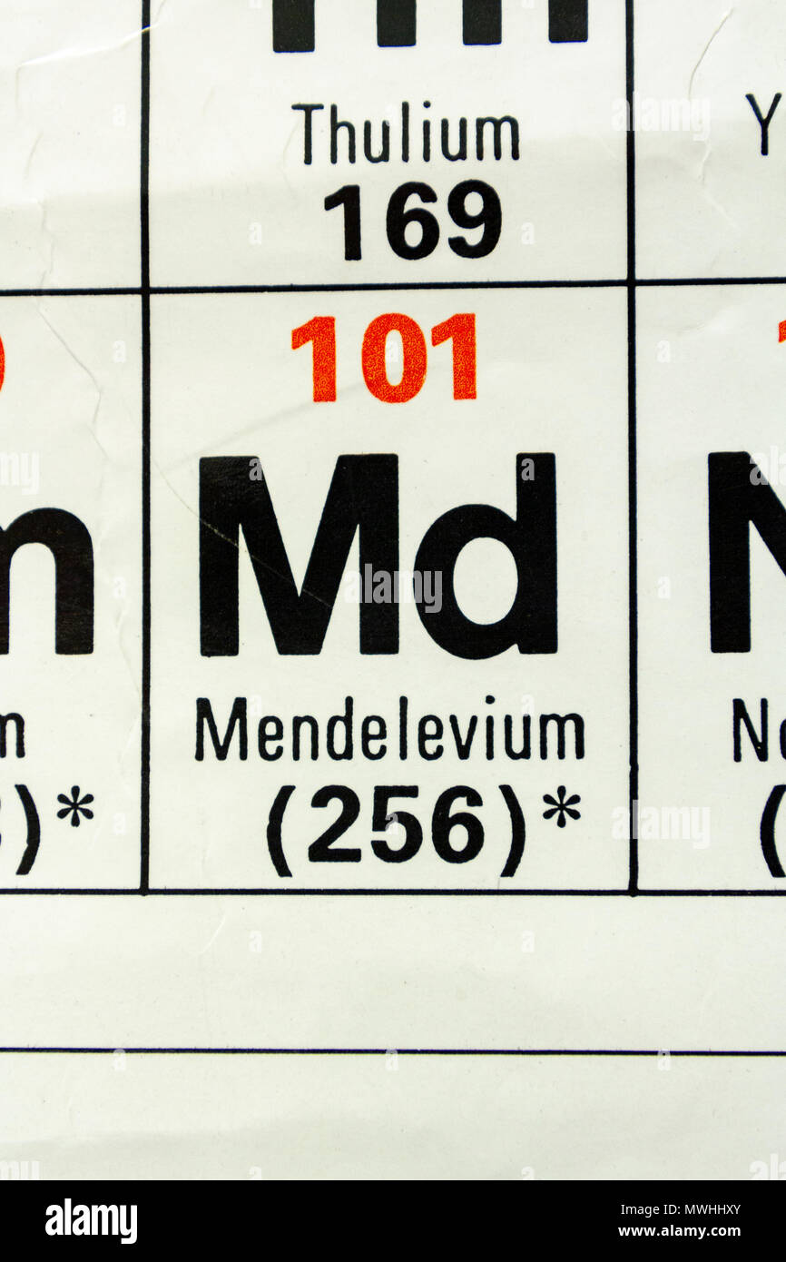 Mendelevium (Md), da es eine britische Schule periodische Tabelle angezeigt. Stockfoto