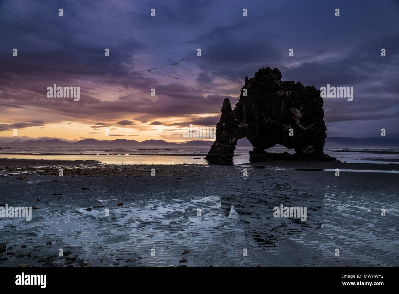 Berühmte hvítserkur Felsformation an der Küste von North Island Stockfoto