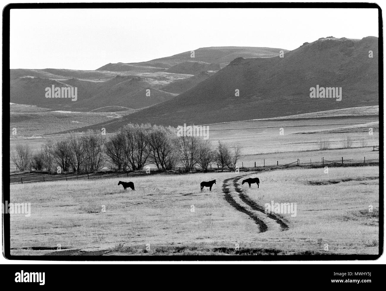 Wyoming USA Landschaft in der Little Big Horn Bereich zwischen Gillette und Sheridan Stockfoto