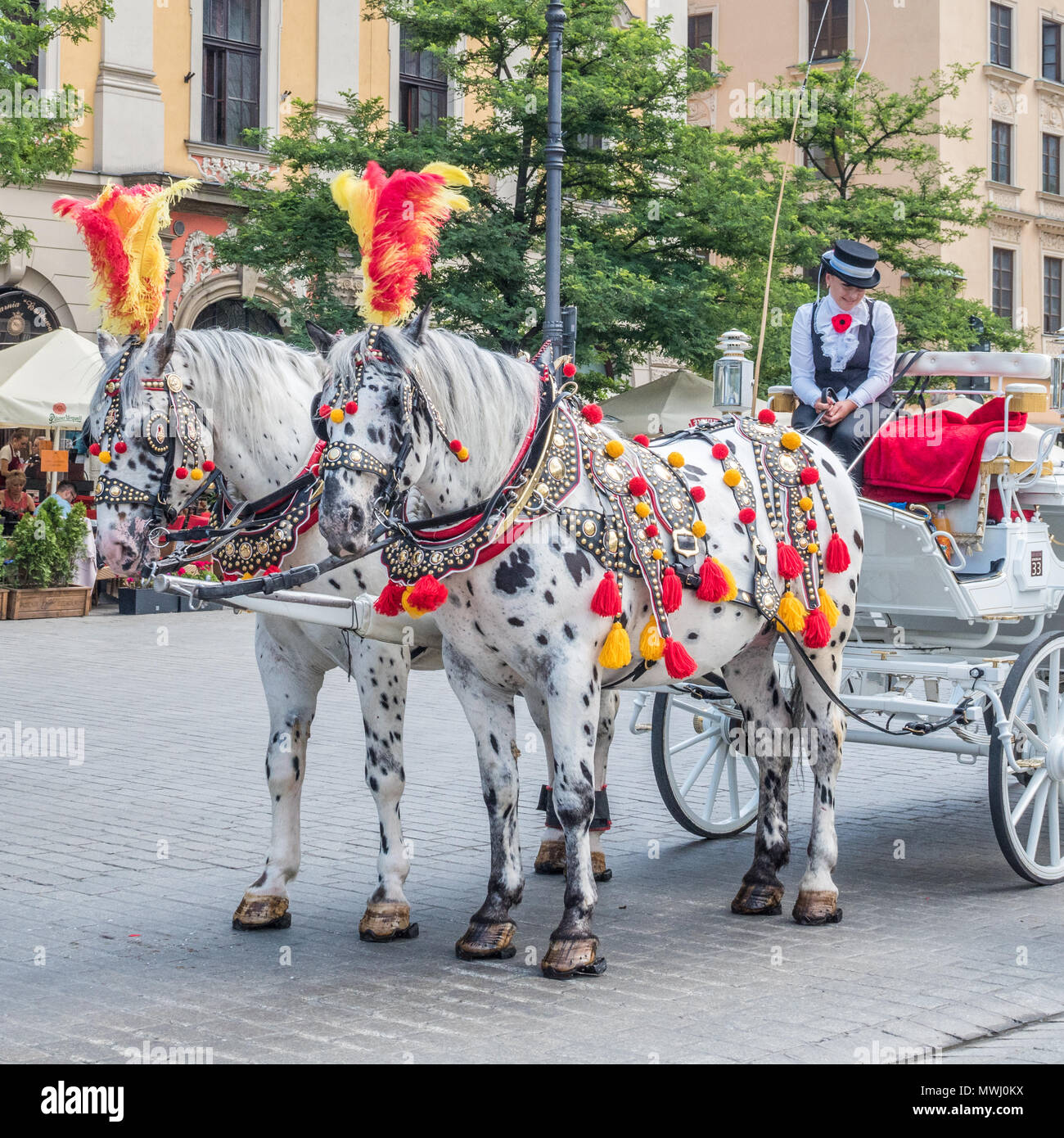 Pferd und Kutsche warten auf Passagiere in der (mittelalterlichen) Marktplatz in der Altstadt von Krakau in Polen. Stockfoto