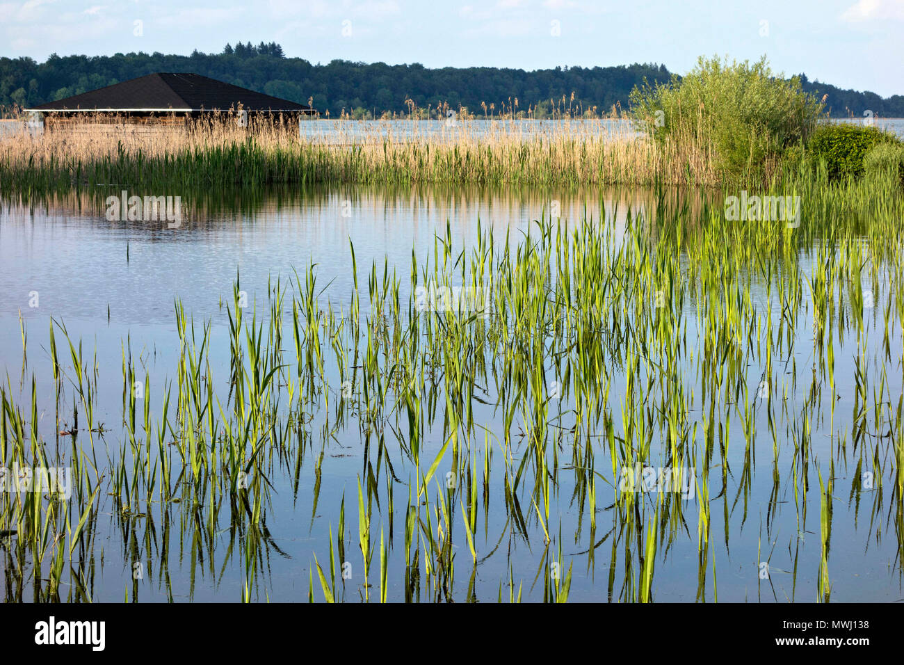 Chiemsee in der Flut, der Chiemgau, Oberbayern Deutschland Europa Stockfoto