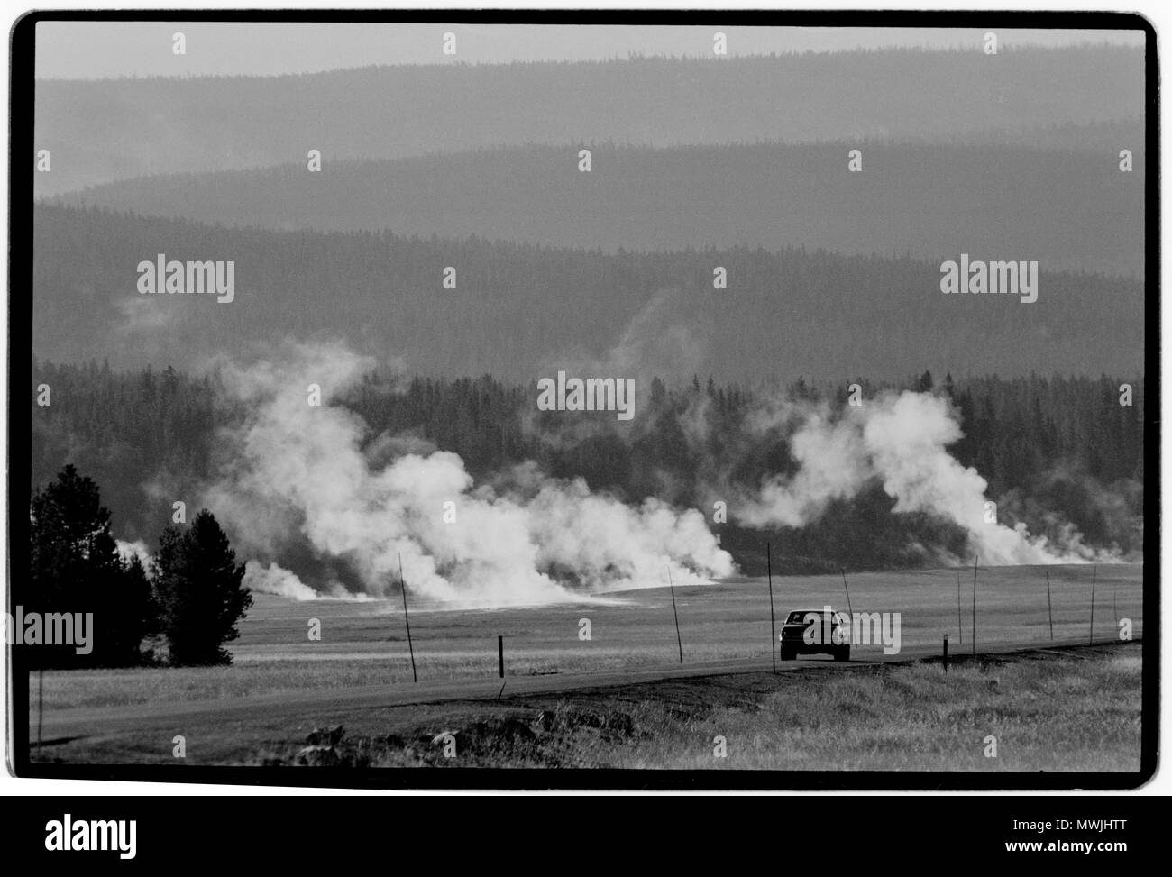 Yellowstone Nationalpark, Wyoming-Montana, USA. 1988 Yellowstone National Park ist ein Nationalpark in den US-Bundesstaaten Wyoming, Montana und Idaho. Es wurde von der US-amerikanischen Kongress gegründet und in das Gesetz von Präsident Ulysses S. Grant, die am 1. März 1872 unterzeichnet. Yellowstone war der erste Nationalpark in den USA und ist auch weit verbreitete der erste Nationalpark der Welt sein.[6] Der Park für seine Tierwelt und seine vielen geothermalen Merkmale, vor allem Old Faithful Geyser, eines der beliebtesten Features.[7] Es hat viele Arten von Ökosystemen bekannt ist, die aber der subalpinen Wald ist die Abu Stockfoto