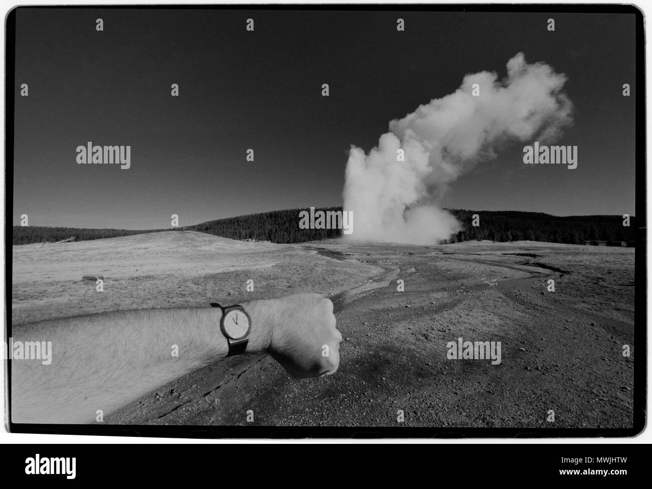 Yellowstone Nationalpark, Wyoming-Montana, USA. 1988 Yellowstone National Park ist ein Nationalpark in den US-Bundesstaaten Wyoming, Montana und Idaho. Es wurde von der US-amerikanischen Kongress gegründet und in das Gesetz von Präsident Ulysses S. Grant, die am 1. März 1872 unterzeichnet. Yellowstone war der erste Nationalpark in den USA und ist auch weit verbreitete der erste Nationalpark der Welt sein.[6] Der Park für seine Tierwelt und seine vielen geothermalen Merkmale, vor allem Old Faithful Geyser, eines der beliebtesten Features.[7] Es hat viele Arten von Ökosystemen bekannt ist, die aber der subalpinen Wald ist die Abu Stockfoto