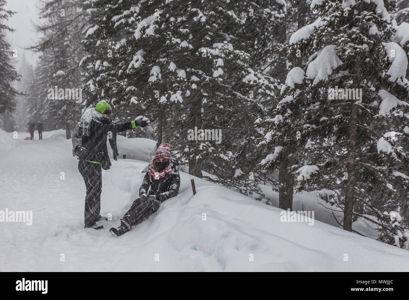 SELVA DI CADORE, ITALY - JANUARY 03 2018: Girls playing with snow during a walk in the woods under a heavy snowfall Stockfoto