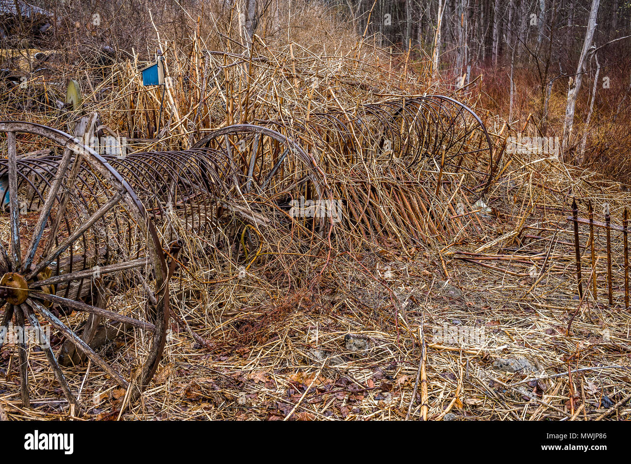 Alte Heu harken sitzen nur Rost entfernt, zusammen mit dem Eisernen Tor, und der kleine blaue Vogel Haus vergessen. Aber touristische und antiken Händler möchten Sie alle. Stockfoto